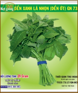Hạt giống Dền xanh lá nhọn 5gr