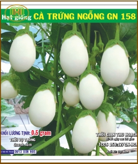 Hạt giống Cà trứng ngỗng 0,5gr