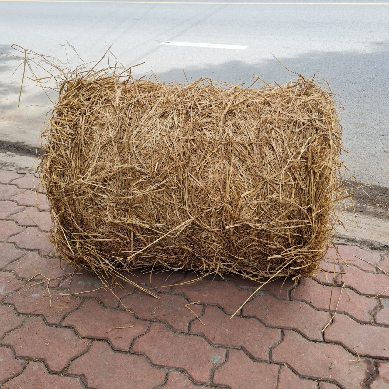RƠM CUỘN DECOR VÀ TRỒNG RAU