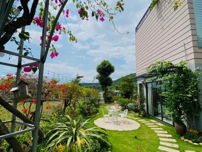 Các bước cơ bản chăm sóc cây cảnh trong vườn luôn xanh tốt