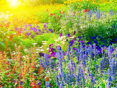 Bật mí những cách chăm sóc vườn hoa cực hay mà bạn chưa từng biết!