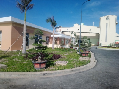 Những vấn đề cần lưu ý khi thuê dịch vụ chăm sóc cảnh quan nhà máy