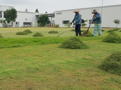 Chuyên cung cấp dịch vụ bảo dưỡng cảnh quan chuyên nghiệp