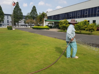 TUYỂN NAM LĐPT CHĂM SÓC CÂY XANH HOA KIỂNG