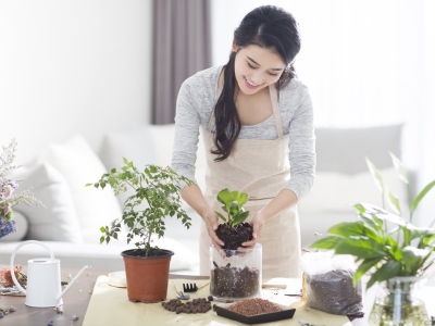 Hướng dẫn cách chăm sóc cây xanh cơ bản