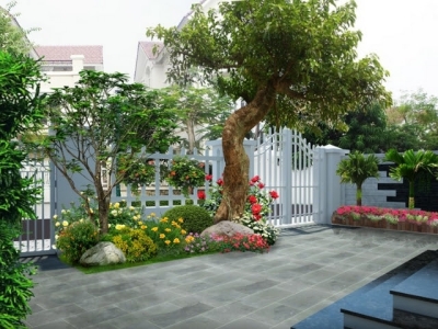 Lợi ích của việc trang trí cây xanh trong nhà