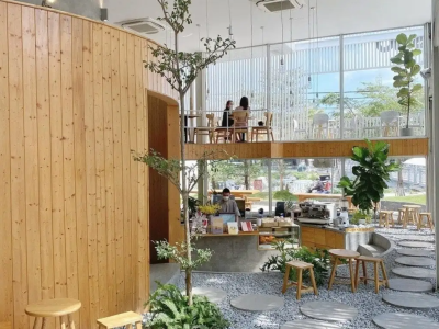 Quán cà phê nên chọn các loại cây dễ chăm vì sao?