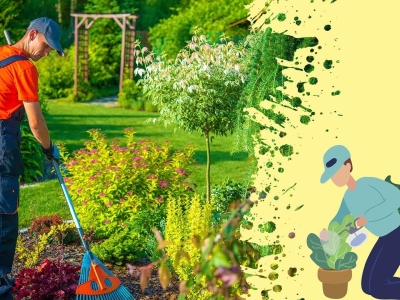Tại sao nên chọn dịch vụ chăm sóc cây xanh?