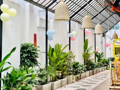 Những lợi ích khi trồng cây cảnh trong nhà