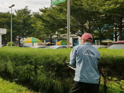 Truy tìm đơn vị bảo dưỡng và chăm sóc cảnh quan luôn tươi đẹp