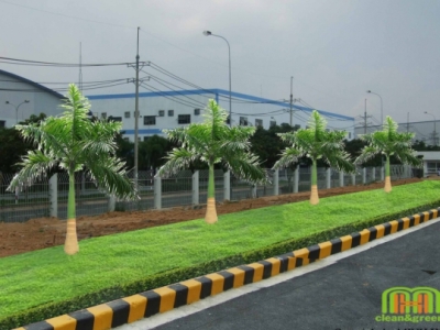 Tham khảo ngay bảng giá dịch vụ chăm sóc cây xanh tại MINH HÂN