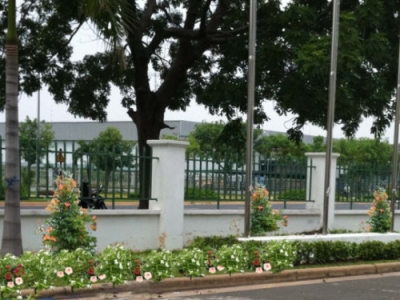 Minh Hân - Bảo dưỡng và chăm sóc cảnh quan uy tín nhất hiện nay