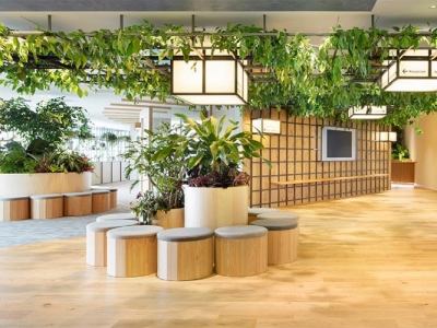 Cách chọn cây cảnh phù hợp với không gian văn phòng