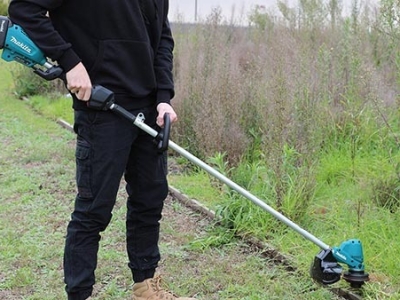 Lợi Ích Của Việc Cắt Cỏ Định Kỳ