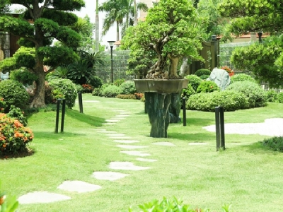 Những biện pháp tác động để duy trì cảnh quan luôn tươi đẹp