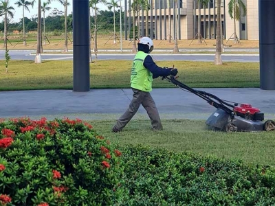 Vì Sao Nên Cắt Cỏ Sân Vườn Thường Xuyên?