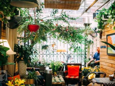 Cập Nhật Ngay Địa Chỉ Cung Cấp Cây Xanh Decor Quán Cafe Đẹp