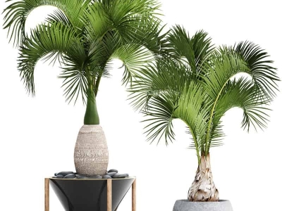 Cây Xanh Trang Trí Ngoại Thất Quan Trọng Đối Với Quán Cà Phê Sân Vườn?