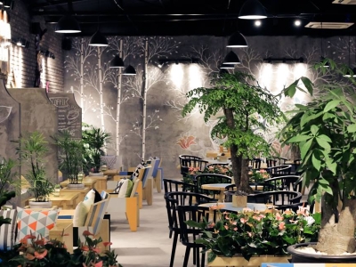 Lưu Lại Ngay Địa Chỉ Bán Cây Cảnh Decor Quán Cafe Đẹp