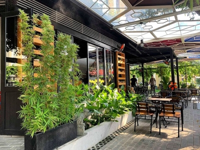 Note Lại Ngay Đơn Vị Cung Cấp Cây Cảnh Quán Cà Phê Nhỏ Gọn