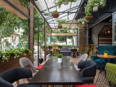 Lưu Ngay Nơi Chuyên Cung Cấp Cây Xanh Cho Quán Cafe HCM 