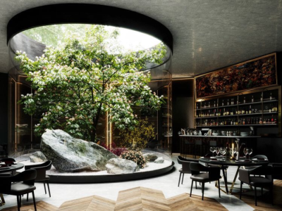 Tìm kiếm cây trang trí quán cafe đa dạng mẫu mã tại đây