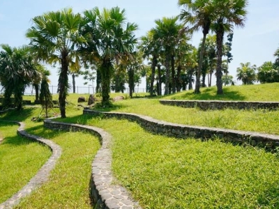 Kinh nghiệm quý chăm sóc cây xanh cảnh đẹp dáng đơn giãn dễ làm