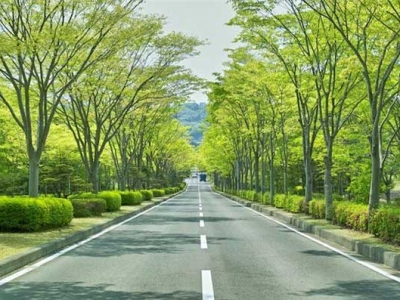 Thiết kế cảnh quan cây xanh có vai trò như thế nào?