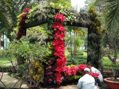 Đơn vị nhận chăm sóc cây cảnh biệt thự chuyên nghiệp Bình Dương