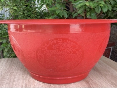 Chậu Nhựa Trồng Cây Cỡ Lớn: Hướng Dẫn Toàn Diện Để Lựa Chọn & Sử Dụng