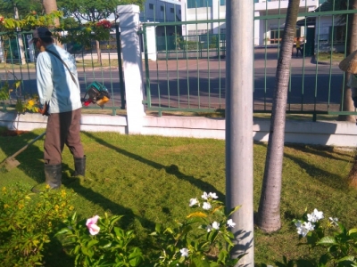 Dịch vụ bảo dưỡng cảnh quan chuyên nghiệp theo yêu cầu