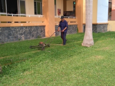 Trải nghiệm dịch vụ bảo dưỡng cảnh quan sân vườn giá rẻ