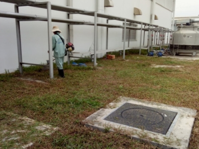 Đơn vị cung cấp dịch vụ bảo dưỡng cảnh quan tại Dĩ An