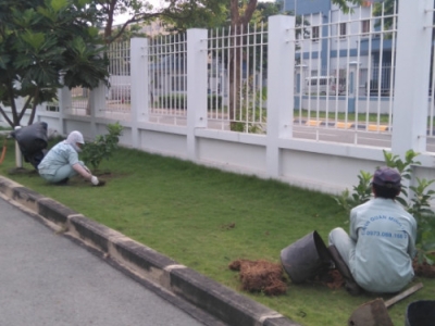 Công ty chuyên cung cấp dịch vụ bảo dưỡng cảnh quan uy tín