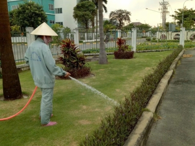 Dịch vụ cắt cỏ giá tốt chuyên nghiệp, đáng tin cậy nhất