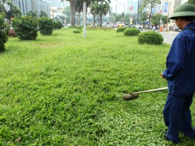 Ghé ngay dịch vụ cắt cỏ tại Bình Dương đáp ứng mọi nhu cầu của bạn