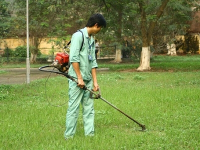 Tại sao nên cắt cỏ và phát quang vườn thường xuyên?