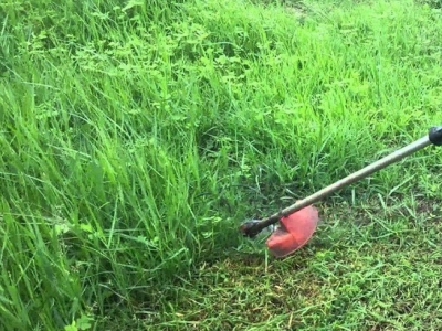 Dịch vụ cắt cỏ uy tín, chuyên nghiệp tại TPHCM