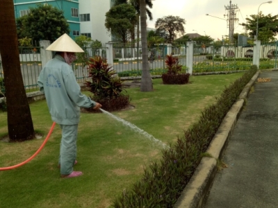 Cập nhật ngay dịch vụ chăm sóc cây xanh uy tín giá tốt