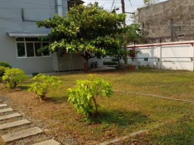 Thuê dịch vụ chăm sóc cây xanh chất lượng Bình Dương uy tín
