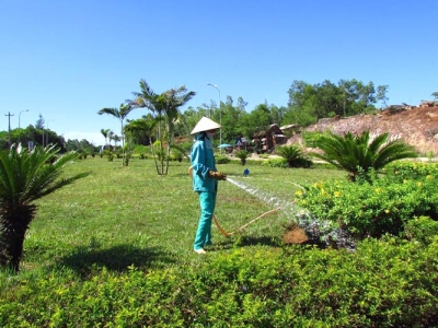 Bỏ túi dịch vụ chăm sóc cây xanh nhà máy xí nghiệp xanh, sạch đẹp