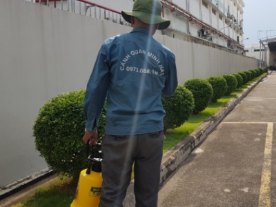 Bạn đang tìm dịch vụ chăm sóc cây xanh sân vườn giá tốt?