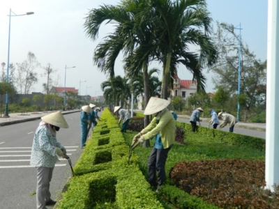 Dịch vụ chăm sóc cây xanh theo yêu cầu, uy tín chất lượng