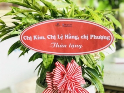 Những loại cây cảnh nên trồng trong nhà giúp lọc khí, mang lại tài vận tốt