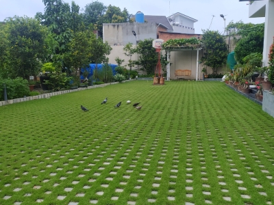 DỊCH VỤ TRỒNG CỎ SÂN VƯỜN