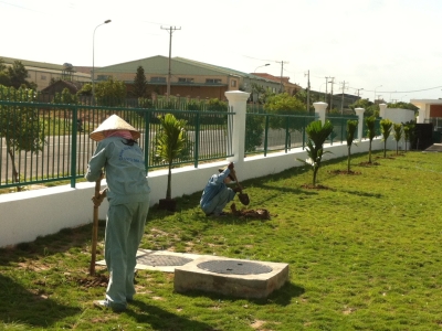 Trải nghiệm dịch vụ trồng cỏ sân vườn tại Minh Hân