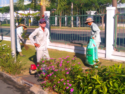 Cung cấp dịch vụ tư vấn thiết kế thi công cảnh quan giá rẻ