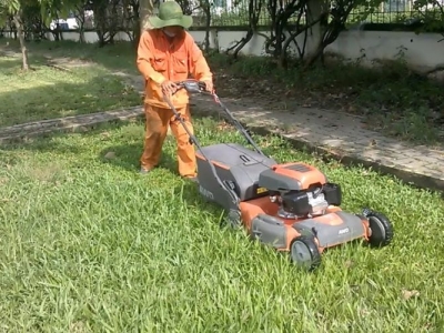 Tại sao phải thường xuyên cắt cỏ cảnh quan?