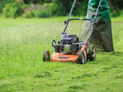 Giá dịch vụ cắt cỏ phụ thuộc vào những yếu tố nào?