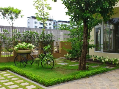 Hướng Dẫn Toàn Diện Về Trồng Cây Quanh Sân Nhà Hiệu Quả và Hợp Phong Thủy